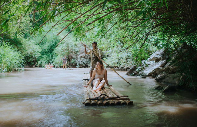Excursão a uma protetora de elefantes - Foto 3