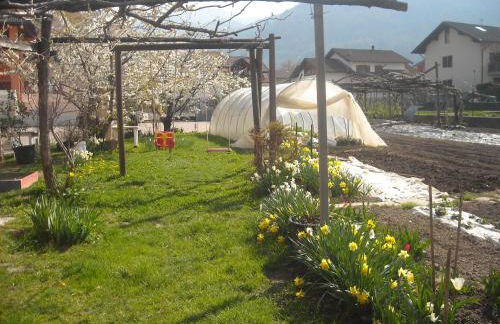 Agriturismo Bortolotti - Foto 54