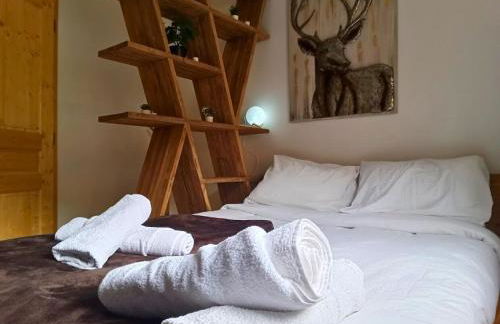 Le Balcon du Snow Roc - Au pied des pistes, magnifique vue sur la vallée - Sauna - Foto 8