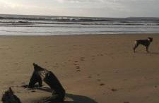 gîte L'hirondelle - Foto 44