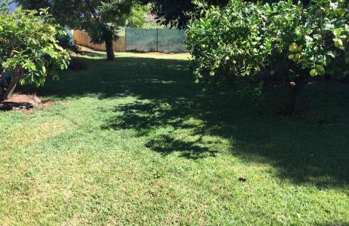 Casitas Las Uvas y las Viñas - Foto 24