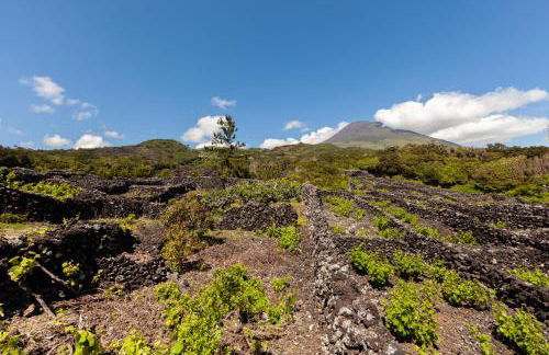 Cantinho do Sossego - Photo 16