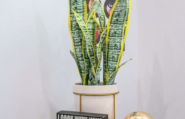 Not Affected by the Fire/modern Spacious Home With Parking & Fully Equipped Kitchen #3 - Foto 54