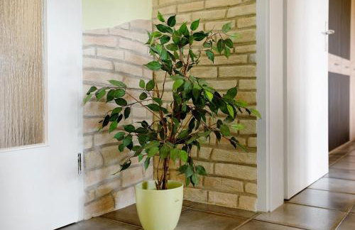 Ado Ferienwohnung - Foto 17