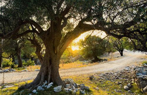 MarAzul Apartments - Foto 61