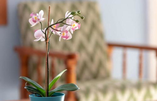 Apartamento Portosun Cornet - Foto 6