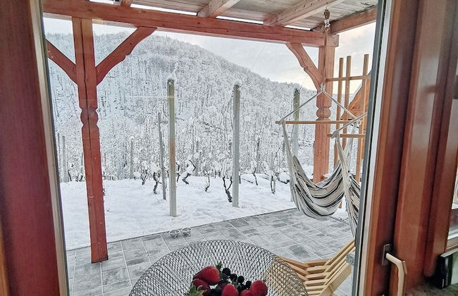 Vineyard cottage Matej - Foto 41