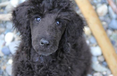 TideAway Farm on Private Island! Escape & Indulge Mother Nature! - Foto 26