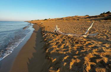 Drosoula House - Foto 36