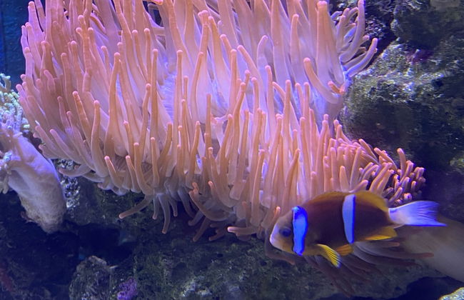 Reef Gateway Apartments - Photo 42