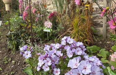 Landhaus Sommerberg - Foto 24