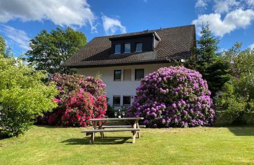 Auf der Platte - Foto 18