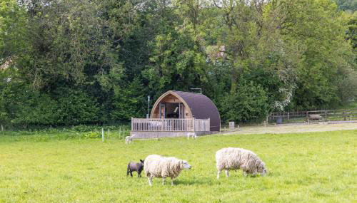 Ashberry Glamping Pod - Photo 1
