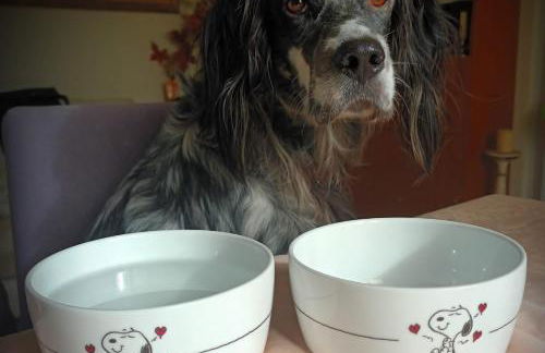 Appartamento Stadio free bike - Photo 23