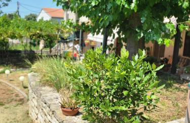 Olive and Herb Retreat II - Foto 15