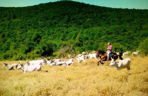 CASASANTOSA un tuffo in mare e sport - Foto 22