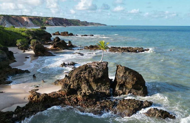 Escursione alle spiagge di Tambaba e Coqueirinho - Foto 4