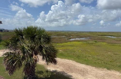 One Redfish Spot - Foto 12