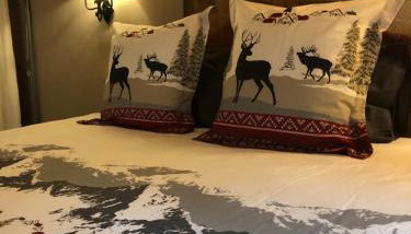 Appartamenti vista Monte Bianco Courmayeur-Entrèves - Foto 3