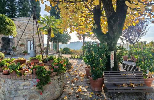Il Casale Del Cotone - Foto 5