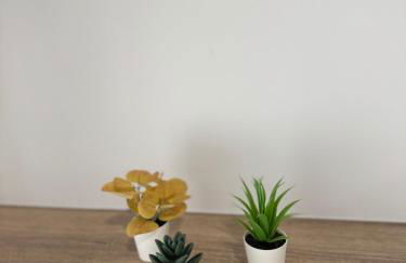 Apartamentos Turisticos Peregrin Palas - Foto 22