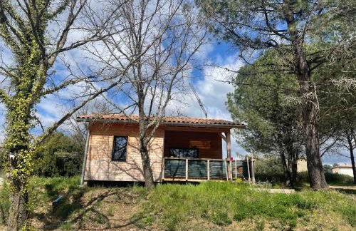 Chalet tous confort avec piscine lagon - Foto 1