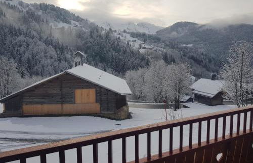 La petite Anfiane - Photo 25