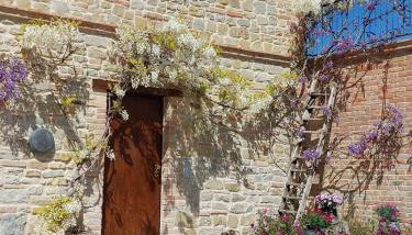 Casale San Martino Agriturismo Bio - Foto 4