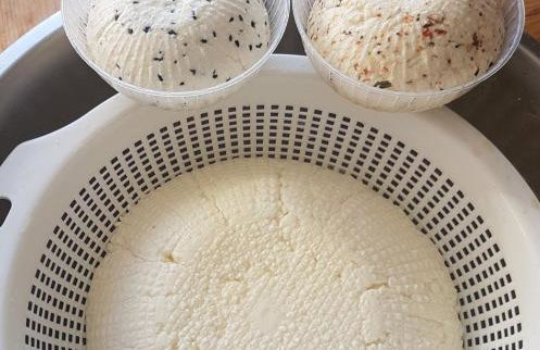 Agroturystyka Wilczyn Cegielnia - Foto 19