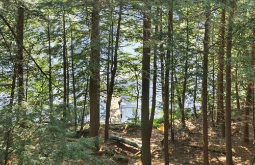 Lakefront Log Home on Huge Lake in Private Cove - Foto 6