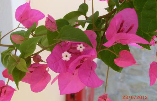 Aegean View Hotel - Foto 64