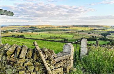 Maywalk House B&B - Photo 10