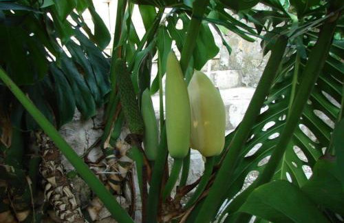 Villa Aska - Photo 52