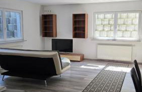 Gemütliches Appartement mit Küche und Parkplatz nähe Schweiz - Foto 1