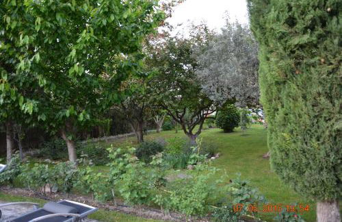 LA BAMBOUSERAIE - Foto 13