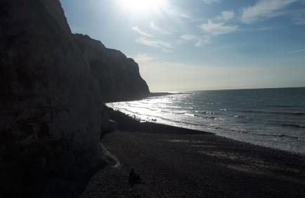 ST MARTIN PLAGE - Foto 27