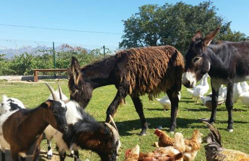 Masia Can Canyes & Spa - Photo 50