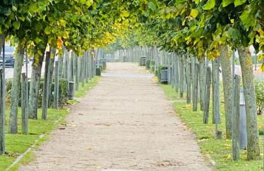 Ferienwohnung Strandflair - Foto 3