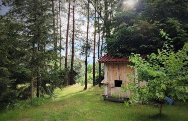 PIZUNY Dom pod dębem z balią na wyłączność - Foto 50