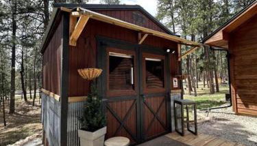 Quaint Rustic Cabin Surrounded by Nature in Black Forest, Colorado - Foto 3