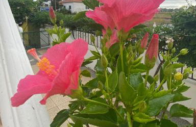 Casa de Azzancha - Foto 62