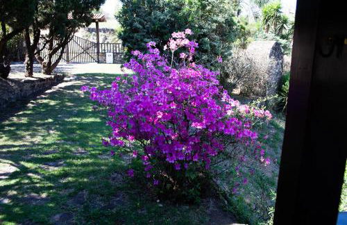 Sossego e aconchego ao lado do INHOTIM - Foto 6