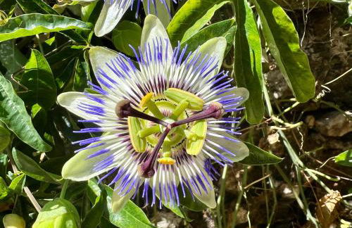 Casa Do Vale - Foto 21