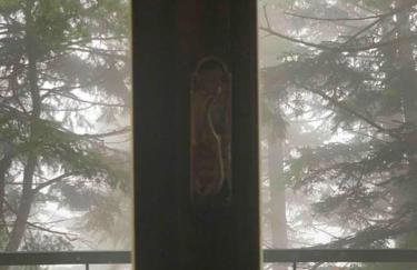 Forest cottage top of the world - Foto 52