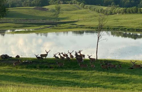 Osada Jaćwingów - Foto 23