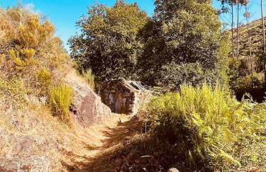 Casa da Renda - Foto 60