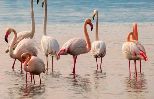 "Da Carla e Sandro"- Appartamento con parcheggio privato - Photo 26