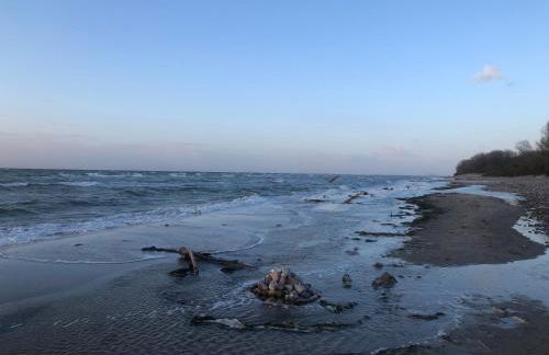 Reethus Linda - Foto 53