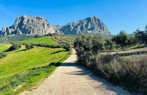 Idyllic Andalusian villa with private pool & stunning views - Foto 33