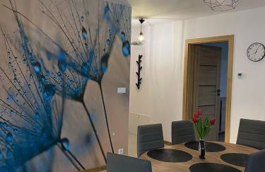 Wczasy Chmielno Apartament Turkusowy - Foto 8